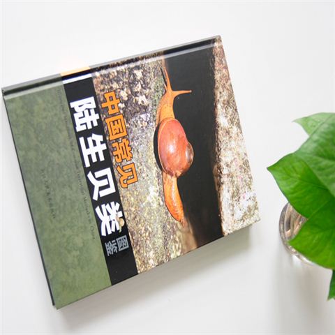 中國(guó)常見陸生貝類圖鑒