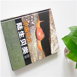 中國常見陸生貝類圖鑒  精裝書 精裝畫冊(cè)印刷